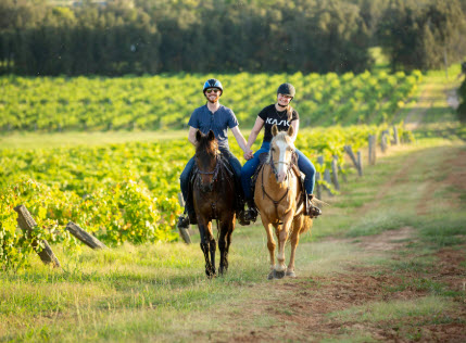 Rider on horseback among the vineyards in the Hunter Valley